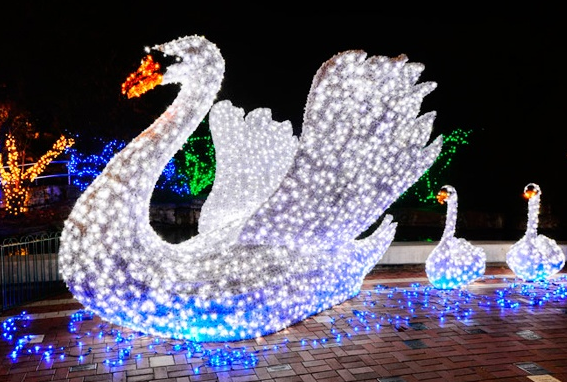 Admission To U.S. Bank Wild Lights at Saint Louis Zoo As Low As $4.75 Each - STL Mommy