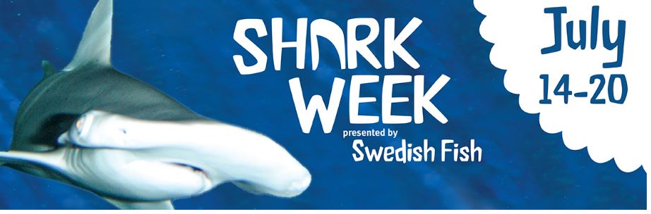 The Saint Louis Zoo Shark Week Activities July 14th - 20th - STL Mommy
