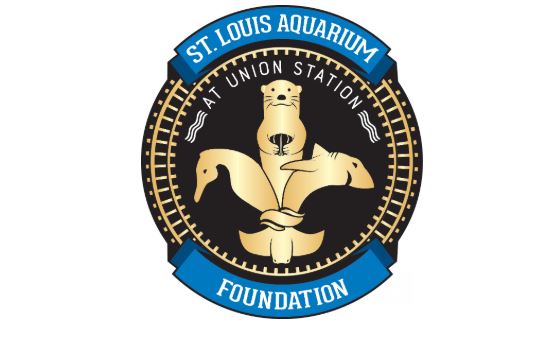 St. Louis Aquarium Foundation Essay Contest ~ Grades K - 12 - STL Mommy